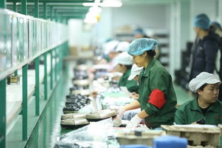 拼多多賦能“拼工廠”，深圳試點(diǎn)透明化生產(chǎn)，麥秸畫傳統(tǒng)工藝觸網(wǎng)新生